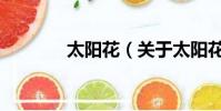 太阳花(关于太阳花的简介)