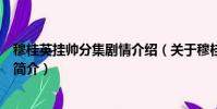 穆桂英挂帅分集剧情介绍(关于穆桂英挂帅分集剧情介绍的简介)