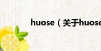 huose(关于huose的简介)