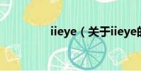 iieye(关于iieye的简介)