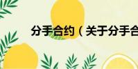 分手合约(关于分手合约的简介)