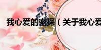 我心爱的密探(关于我心爱的密探的简介)