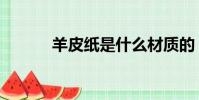 羊皮纸是什么材质的(羊皮纸)