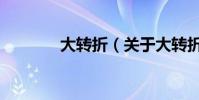大转折(关于大转折的简介)