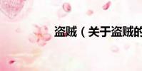 盗贼(关于盗贼的简介)