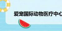 爱宠国际动物医疗中心(爱宠国)