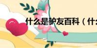 什么是驴友百科(什么是驴友)