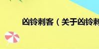 凶铃刺客(关于凶铃刺客的简介)