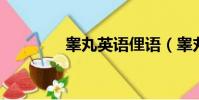 睾丸英语俚语(睾丸 英语)