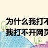 为什么我打不开网页输入框是红色的（为什么我打不开网页）