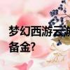 梦幻西游云游仙人属性点分配消耗现金还是储备金?