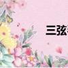 三弦琴音乐（暴风三弦琴）