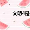 文明4是什么游戏（文明4好玩吗）