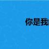 你是我的眼剧情（你是我的眼）