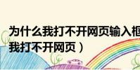 为什么我打不开网页输入框是红色的(为什么我打不开网页)