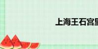 上海王石宫里