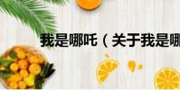 我是哪吒(关于我是哪吒的简介)