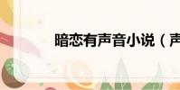 暗恋有声音小说(声音小说)