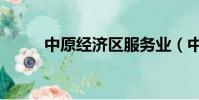 中原经济区服务业(中原经济区)
