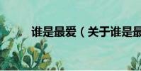 谁是最爱(关于谁是最爱的简介)