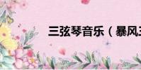 三弦琴音乐(暴风三弦琴)