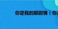 你是我的眼剧情(你是我的眼)