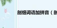 剖组词语加拼音(剖组词语)