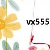 vx555hdl说明书（vx555hd）