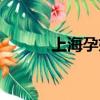 上海孕妇装专卖（上海孕妇装）