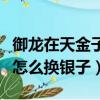 御龙在天金子买完银子不能用（御龙在天金子怎么换银子）
