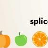splice（关于splice的简介）