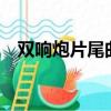 双响炮片尾曲听不到mv（双响炮片尾曲）