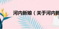 河内新娘(关于河内新娘的简介)