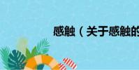 感触(关于感触的简介)