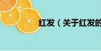 红发(关于红发的简介)