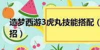 造梦西游3虎丸技能搭配(造梦西游3虎丸配招)