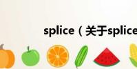 splice(关于splice的简介)