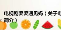电视剧婆婆遇见妈(关于电视剧婆婆遇见妈的简介)