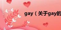 gay(关于gay的简介)
