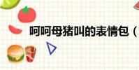 呵呵母猪叫的表情包(呵呵 母猪)