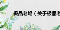 极品老妈(关于极品老妈的简介)