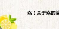 殇(关于殇的简介)