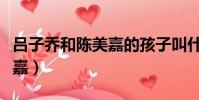 吕子乔和陈美嘉的孩子叫什么(吕子乔和陈美嘉)
