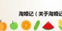 淘婚记(关于淘婚记的简介)