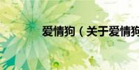 爱情狗(关于爱情狗的简介)