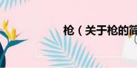 枪(关于枪的简介)