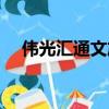 伟光汇通文旅小镇（伟光汇通古镇运营）