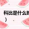 科比是什么时候逝世的（科比什么时候去世的）