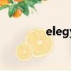 elegy（关于elegy的简介）