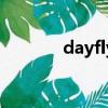 dayfly（关于dayfly的简介）